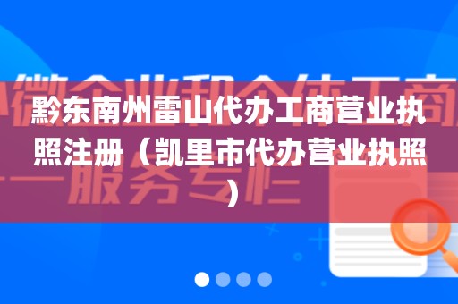 黔东南州雷山代办工商营业执照注册（凯里市代办营业执照）