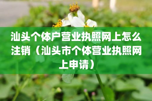 汕头个体户营业执照网上怎么注销（汕头市个体营业执照网上申请）