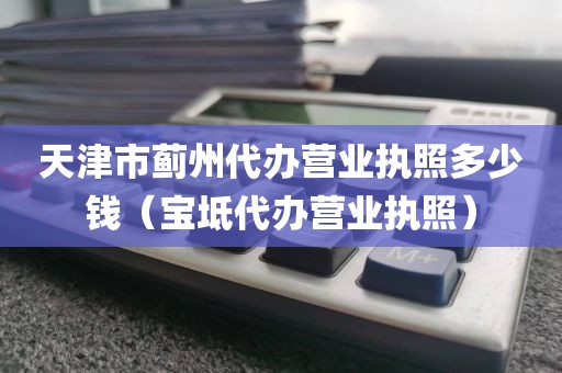 天津市蓟州代办营业执照多少钱(宝坻代办营业执照)