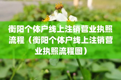 衡阳个体户线上注销营业执照流程（衡阳个体户线上注销营业执照流程图）