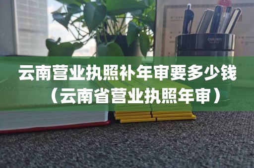 云南营业执照补年审要多少钱（云南省营业执照年审）