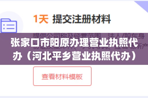 张家口市阳原办理营业执照代办(河北平乡营业执照代办)