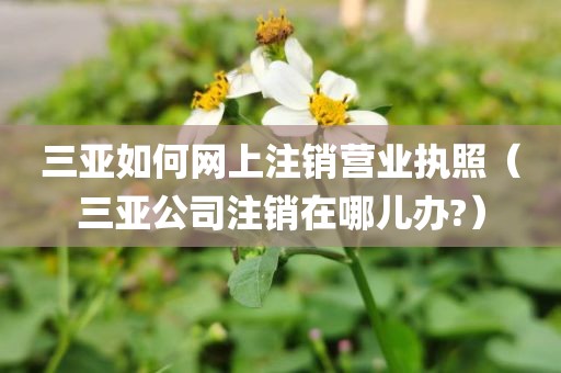 三亚如何网上注销营业执照(三亚公司注销在哪儿办?)
