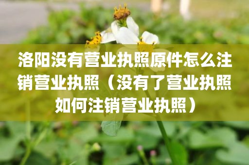 洛阳没有营业执照原件怎么注销营业执照（没有了营业执照如何注销营业执照）