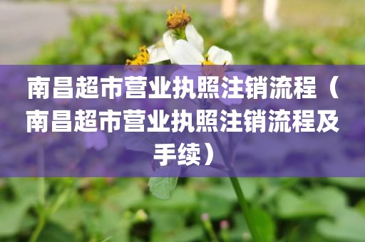 南昌超市营业执照注销流程（南昌超市营业执照注销流程及手续）