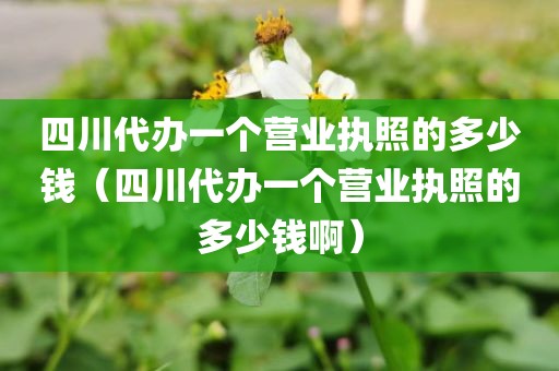 四川代办一个营业执照的多少钱（四川代办一个营业执照的多少钱啊）