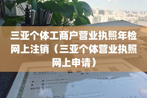 三亚个体工商户营业执照年检网上注销（三亚个体营业执照网上申请）