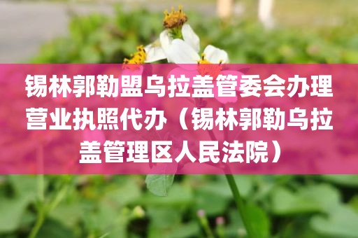 锡林郭勒盟乌拉盖管委会办理营业执照代办（锡林郭勒乌拉盖管理区人民法院）