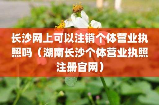 长沙网上可以注销个体营业执照吗（湖南长沙个体营业执照注册官网）