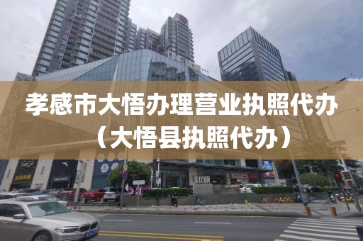 孝感市大悟办理营业执照代办（大悟县执照代办）