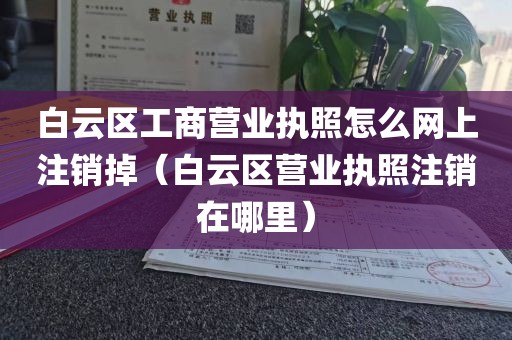 白云区工商营业执照怎么网上注销掉（白云区营业执照注销在哪里）