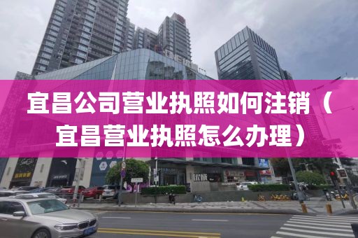 宜昌公司营业执照如何注销（宜昌营业执照怎么办理）