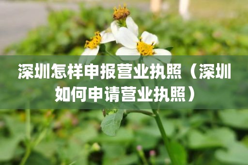 深圳怎样申报营业执照（深圳如何申请营业执照）