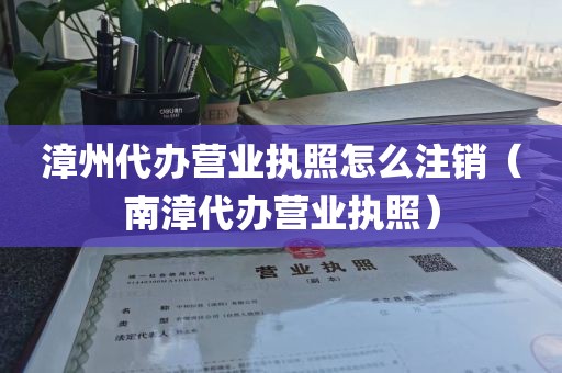 漳州代办营业执照怎么注销（南漳代办营业执照）