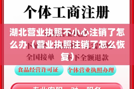 湖北营业执照不小心注销了怎么办（营业执照注销了怎么恢复）