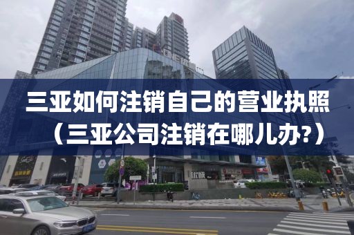 三亚如何注销自己的营业执照（三亚公司注销在哪儿办?）