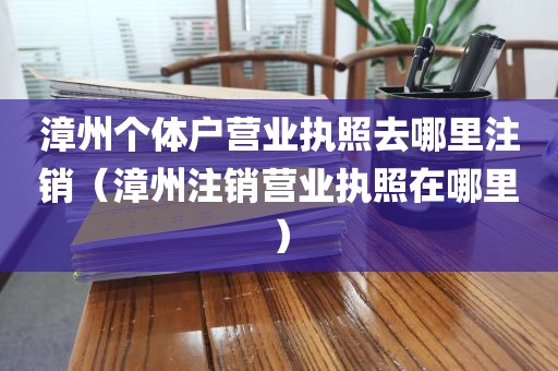 漳州个体户营业执照去哪里注销(漳州注销营业执照在哪里)