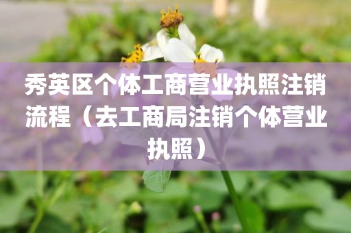 秀英区个体工商营业执照注销流程（去工商局注销个体营业执照）