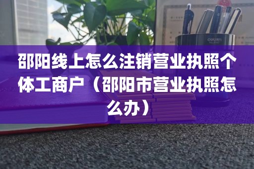 邵阳线上怎么注销营业执照个体工商户（邵阳市营业执照怎么办）