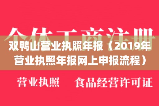 双鸭山营业执照年报（2019年营业执照年报网上申报流程）