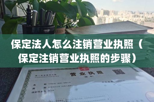 保定法人怎么注销营业执照（保定注销营业执照的步骤）