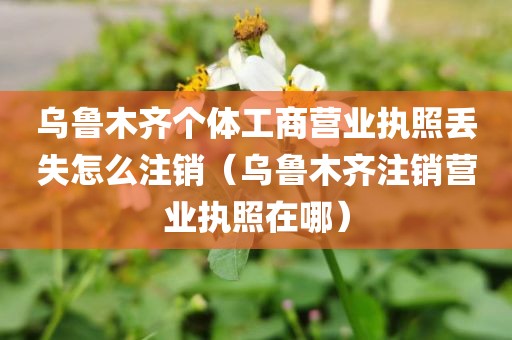 乌鲁木齐个体工商营业执照丢失怎么注销(乌鲁木齐注销营业执照在哪)