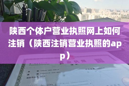 陕西个体户营业执照网上如何注销(陕西注销营业执照的app)