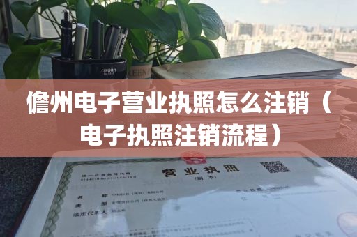 儋州电子营业执照怎么注销（电子执照注销流程）