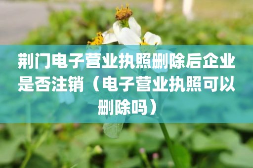 荆门电子营业执照删除后企业是否注销（电子营业执照可以删除吗）