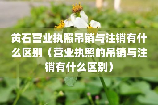 黄石营业执照吊销与注销有什么区别（营业执照的吊销与注销有什么区别）