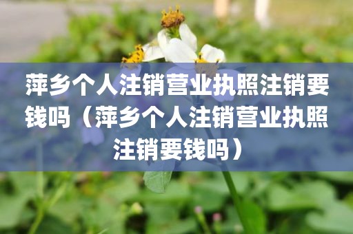萍乡个人注销营业执照注销要钱吗（萍乡个人注销营业执照注销要钱吗）