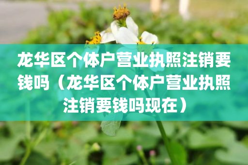 龙华区个体户营业执照注销要钱吗（龙华区个体户营业执照注销要钱吗现在）