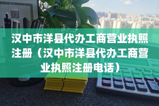 汉中市洋县代办工商营业执照注册（汉中市洋县代办工商营业执照注册电话）