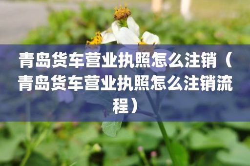 青岛货车营业执照怎么注销(青岛货车营业执照怎么注销流程)