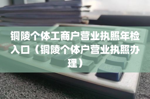 铜陵个体工商户营业执照年检入口（铜陵个体户营业执照办理）