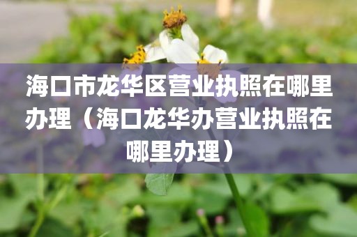 海口市龙华区营业执照在哪里办理（海口龙华办营业执照在哪里办理）