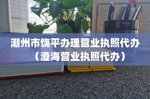 潮州市饶平办理营业执照代办（澄海营业执照代办）