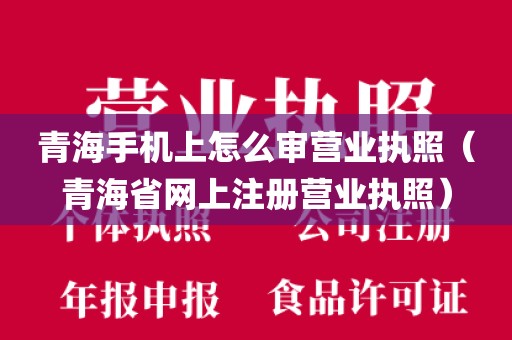 青海手机上怎么审营业执照（青海省网上注册营业执照）