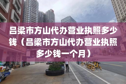 吕梁市方山代办营业执照多少钱（吕梁市方山代办营业执照多少钱一个月）