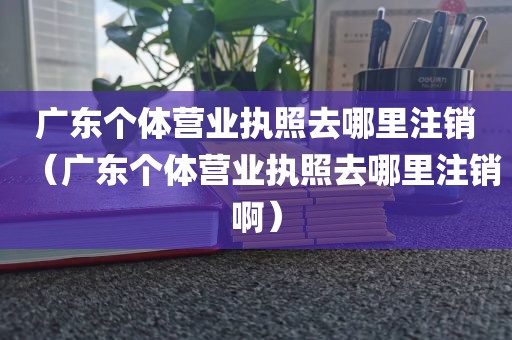广东个体营业执照去哪里注销（广东个体营业执照去哪里注销啊）
