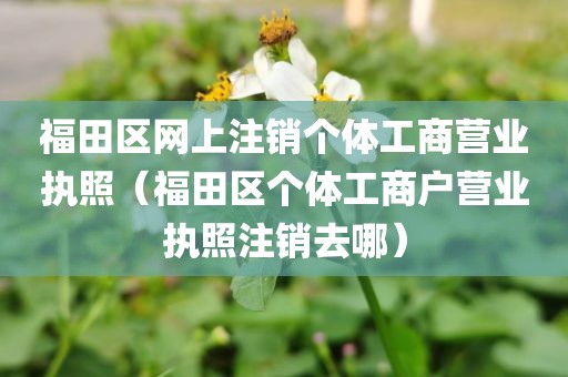 福田区网上注销个体工商营业执照（福田区个体工商户营业执照注销去哪）
