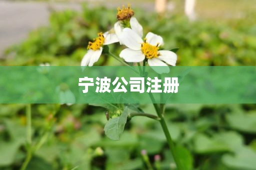 宁波公司注册