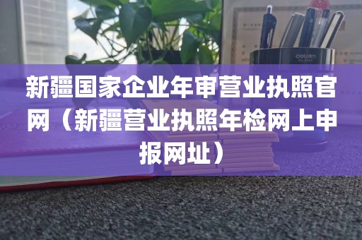 新疆国家企业年审营业执照官网（新疆营业执照年检网上申报网址）