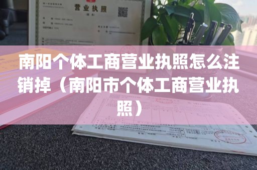 南阳个体工商营业执照怎么注销掉（南阳市个体工商营业执照）