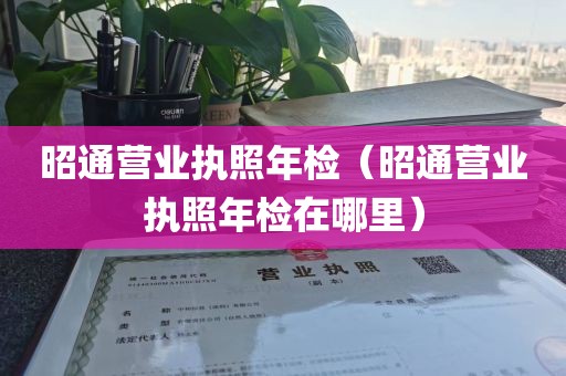 昭通营业执照年检（昭通营业执照年检在哪里）
