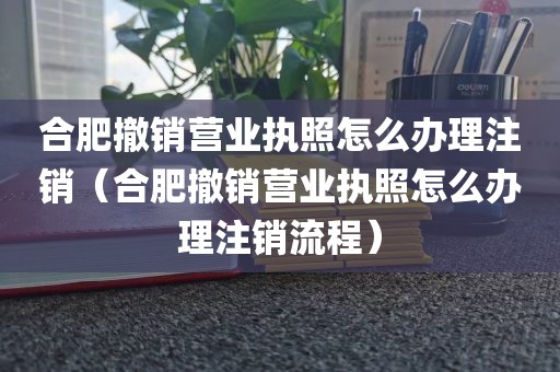 合肥撤销营业执照怎么办理注销（合肥撤销营业执照怎么办理注销流程）