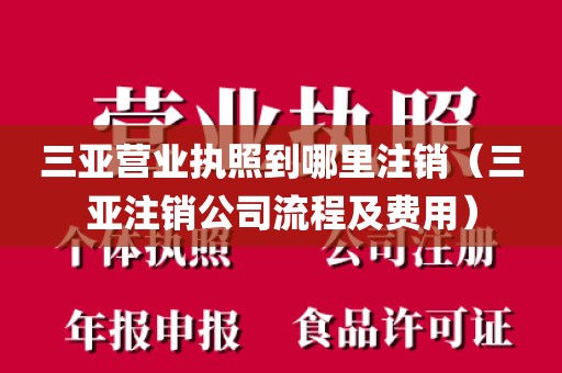 三亚营业执照到哪里注销（三亚注销公司流程及费用）