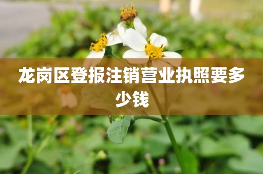 龙岗区登报注销营业执照要多少钱