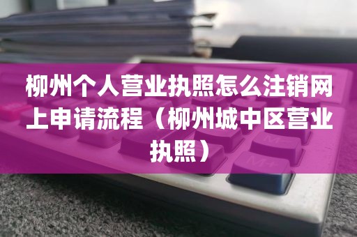 柳州个人营业执照怎么注销网上申请流程（柳州城中区营业执照）