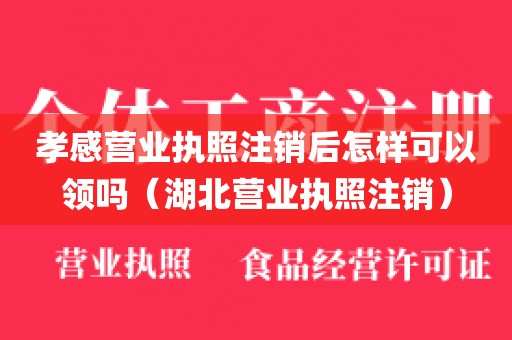 孝感营业执照注销后怎样可以领吗（湖北营业执照注销）